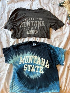 Montana State Crop Top Set of 2